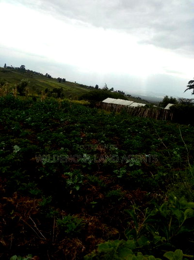 50*100 Plot on Sale at Naivasha Kinungi - Image 6