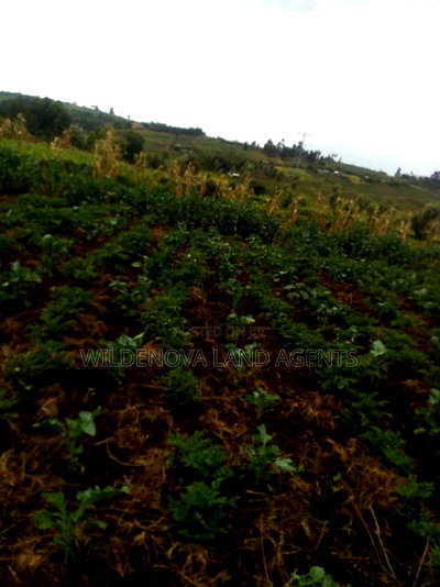 50*100 Plot on Sale at Naivasha Kinungi - Image 4