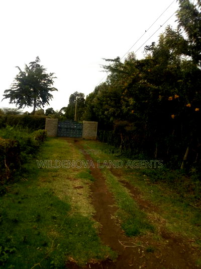 50*100 Plot on Sale at Naivasha Kinungi - Image 3