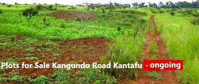 Kamulu, Kagundo Road Plots for Sale With Ready Title Deed - Image 2
