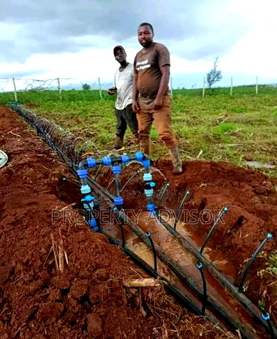 Kamulu, Kagundo Road Plots for Sale With Ready Title Deed - Image 1