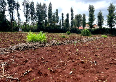 Half Acre Red Soil Plot in Oloolua