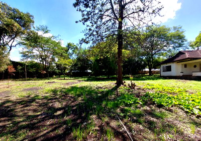 4.5-Acre Garden Office Space