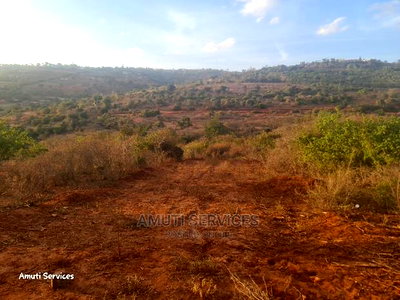 10acres Mua Hills - Image 3