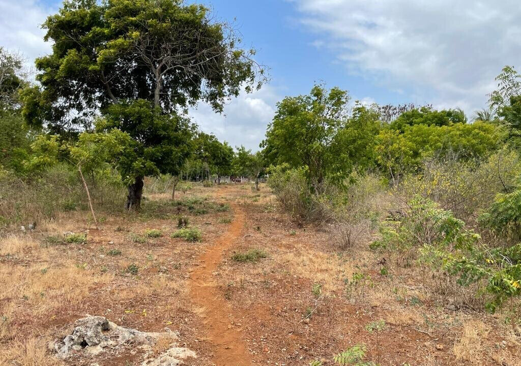 2.2-Acre Kilifi Plot with Title Deed