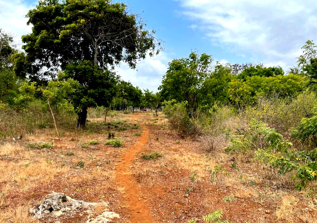 2.2-Acre Kilifi Plot with Title Deed