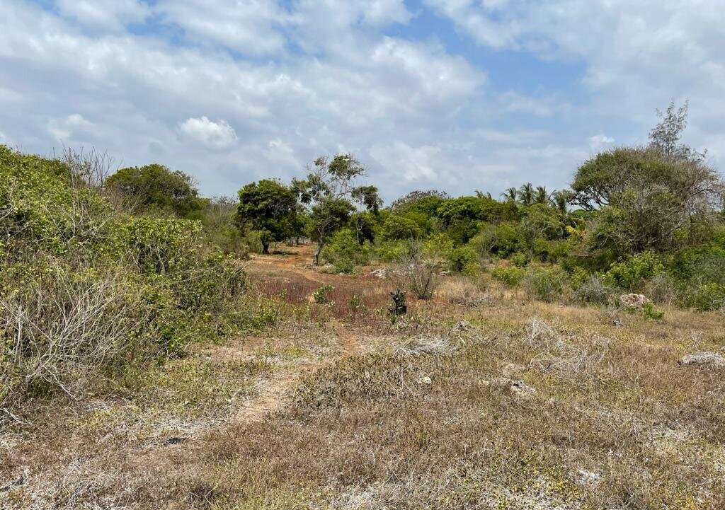 2.2-Acre Kilifi Plot with Title Deed