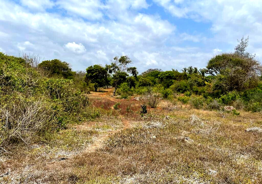 2.2-Acre Kilifi Plot with Title Deed