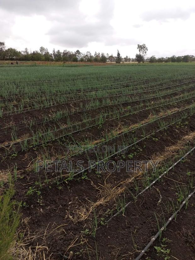 21 Acre Parcel Acre of Land for in Kiserian Isinya Road