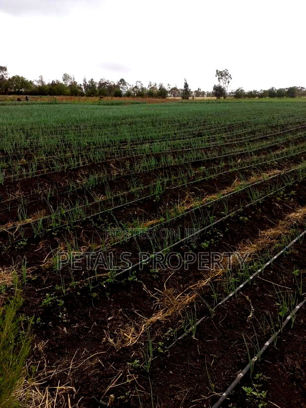 21 Acre Parcel Acre of Land for in Kiserian Isinya Road