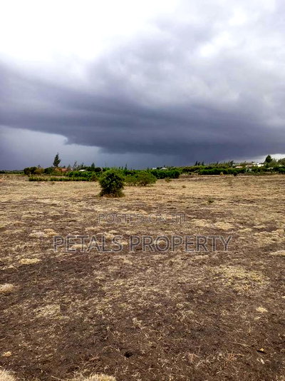 21 Acre Parcel Acre of Land for in Kiserian Isinya Road - Image 4