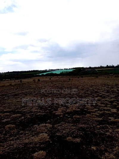 21 Acre Parcel Acre of Land for in Kiserian Isinya Road - Image 1