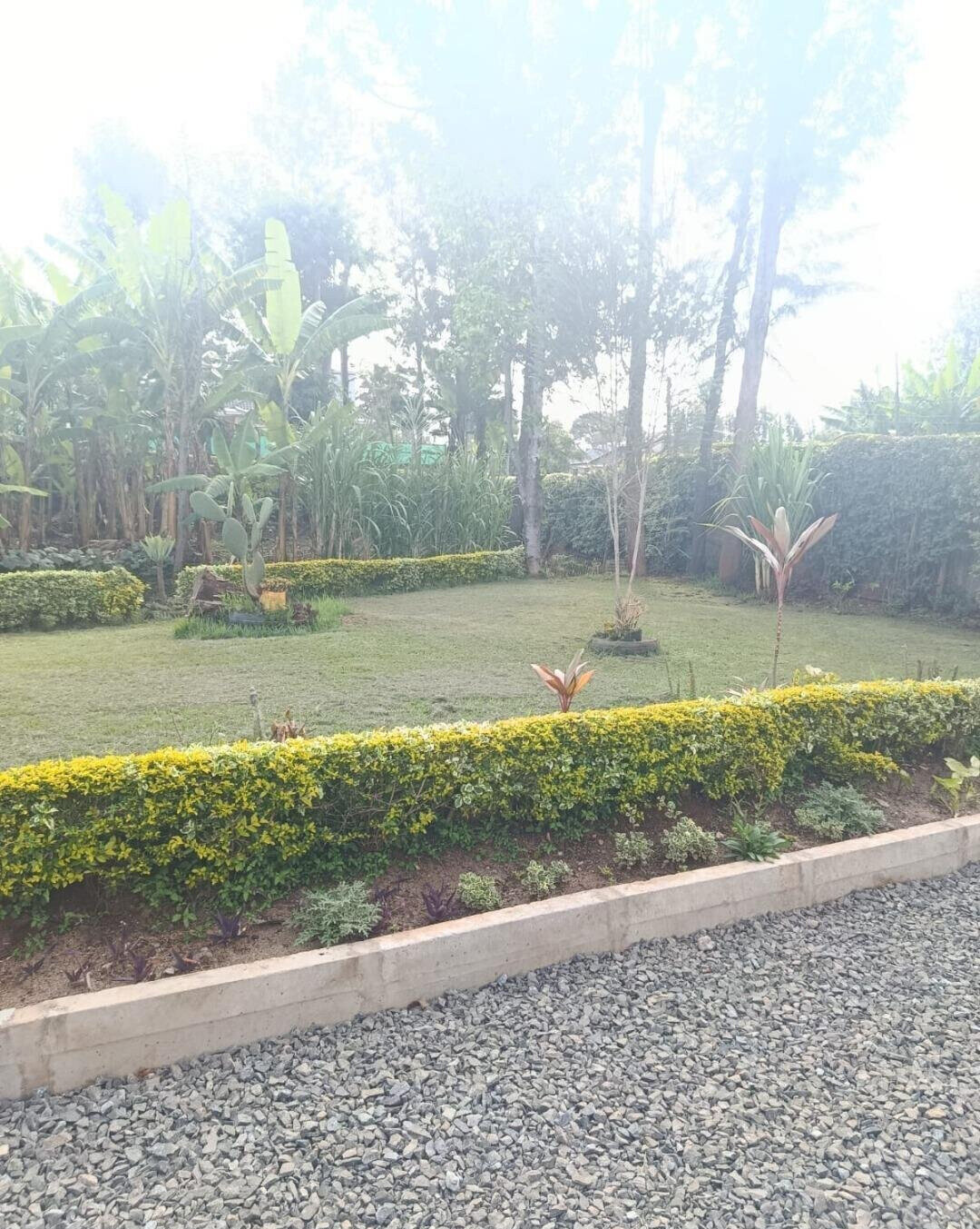 Half Acre 4BR Home with Garden