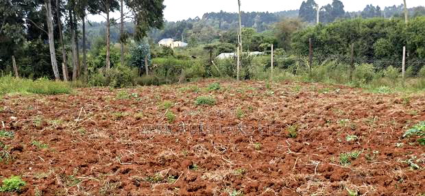 2 Acres Available Land for Sale in Thigio