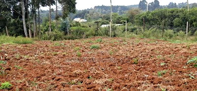 2 Acres Available Land for Sale in Thigio - Image 5