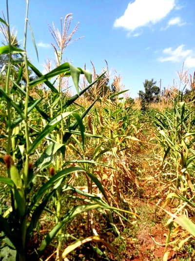 Land for Sale at Makuyu - Image 1