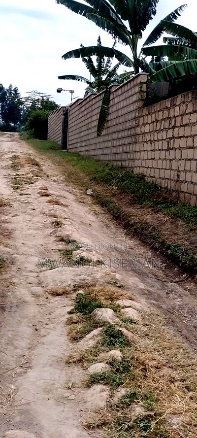 Plot for Sale in Kiserian 300mts From Tarmac - Image 3