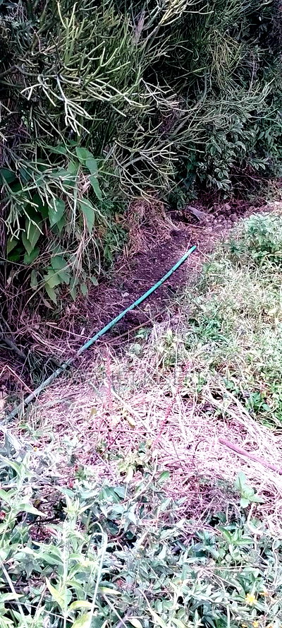 Plot for Sale in Kiserian 300mts From Tarmac - Image 10