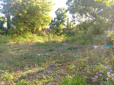 For Sale: 1/2 Acre Corner Plot Near Diani Airport - Image 4