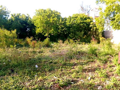 For Sale: 1/2 Acre Corner Plot Near Diani Airport - Image 6