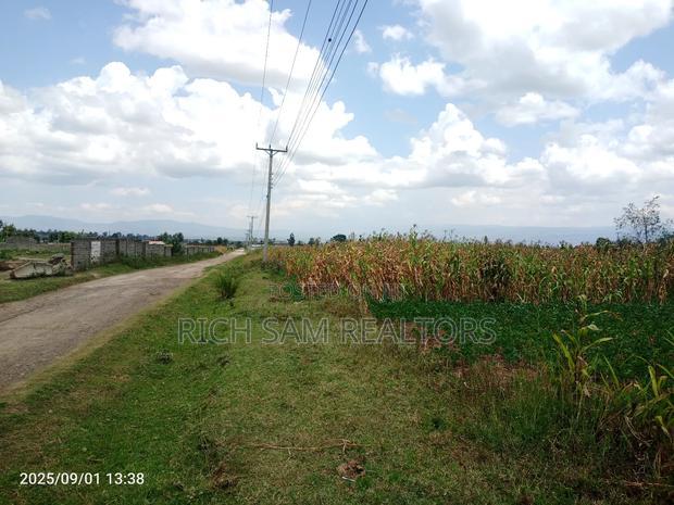 Plots on Sale Mzee Wanyama Nakuru
