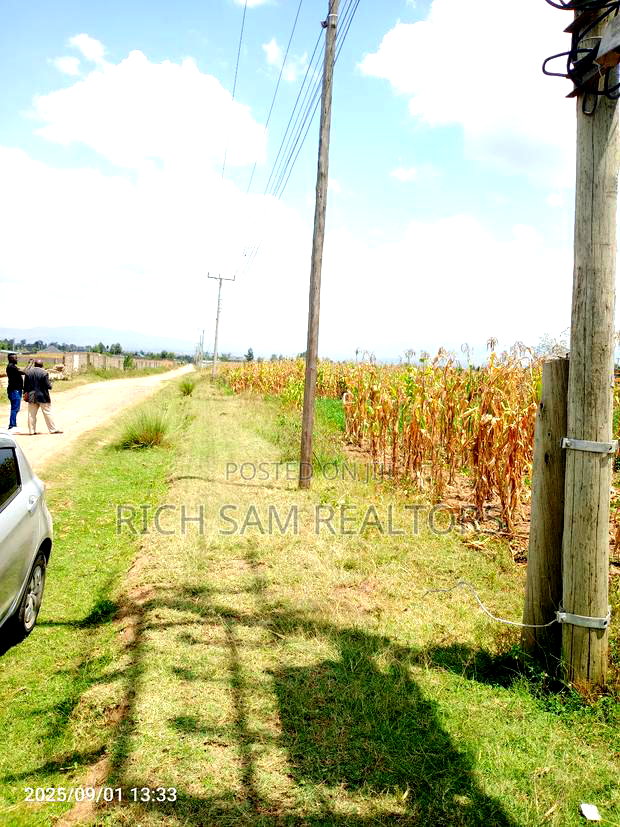 Plots on Sale Mzee Wanyama Nakuru