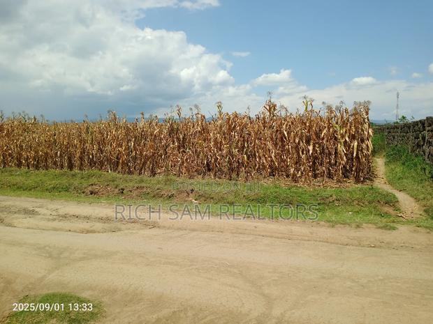 Plots on Sale Mzee Wanyama Nakuru