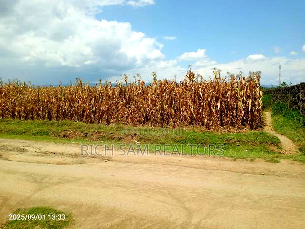 Plots on Sale Mzee Wanyama Nakuru