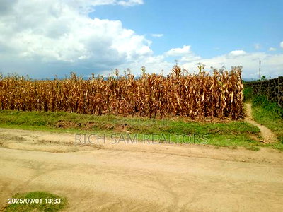 Plots on Sale Mzee Wanyama Nakuru - Image 2