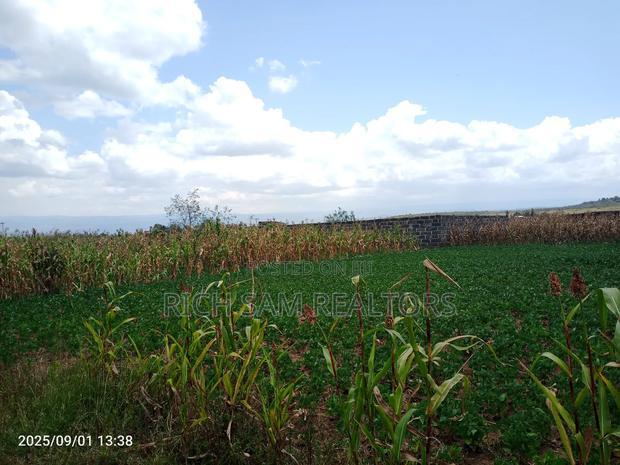Plots on Sale Mzee Wanyama Nakuru