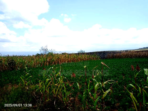 Plots on Sale Mzee Wanyama Nakuru
