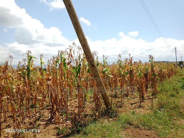 Plots on Sale Mzee Wanyama Nakuru