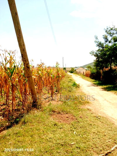 Plots on Sale Mzee Wanyama Nakuru - Image 4