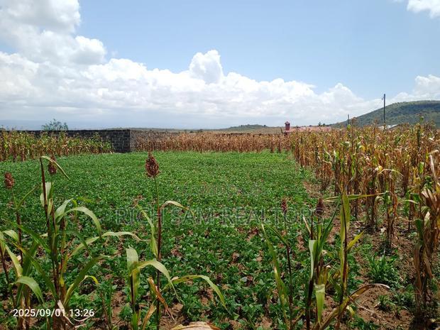 Plots on Sale Mzee Wanyama Nakuru