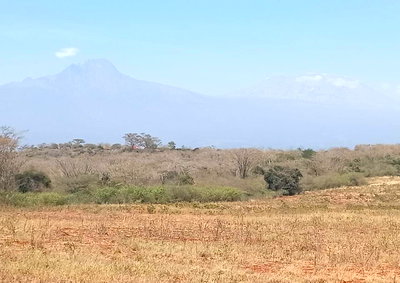 167-Acre Land with Kilimanjaro Views