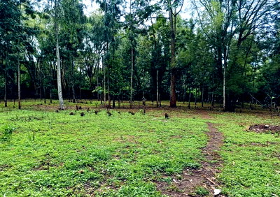 1-Acre Garden Office Space in Karen