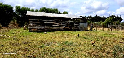 1 Acre With Store and Dairy Shed for Sale Imti Moja Eldoret - Image 7