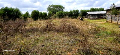 1 Acre With Store and Dairy Shed for Sale Imti Moja Eldoret - Image 5