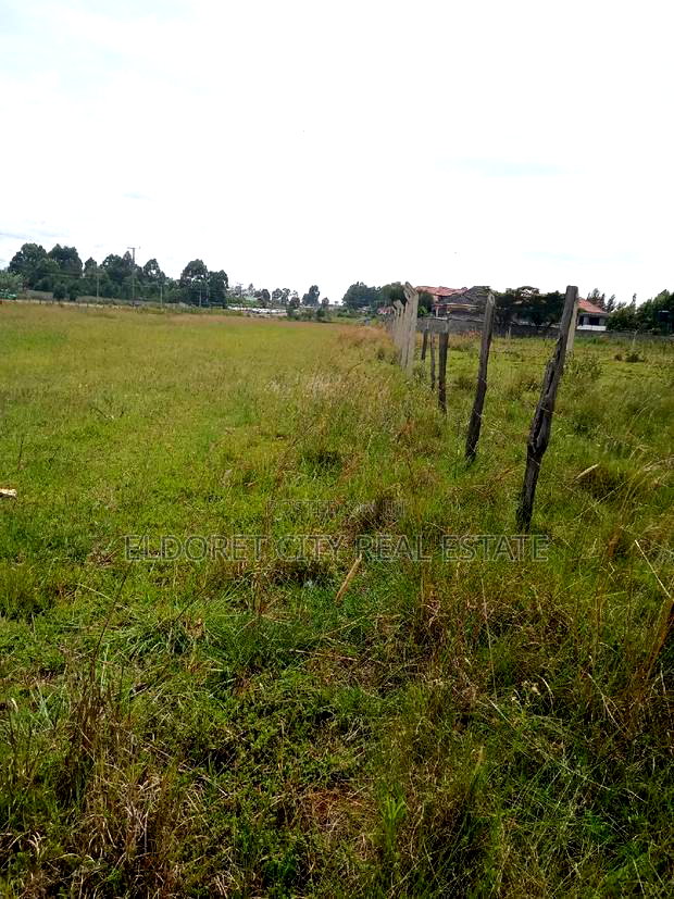 1/4 Plot Elgonview With Title