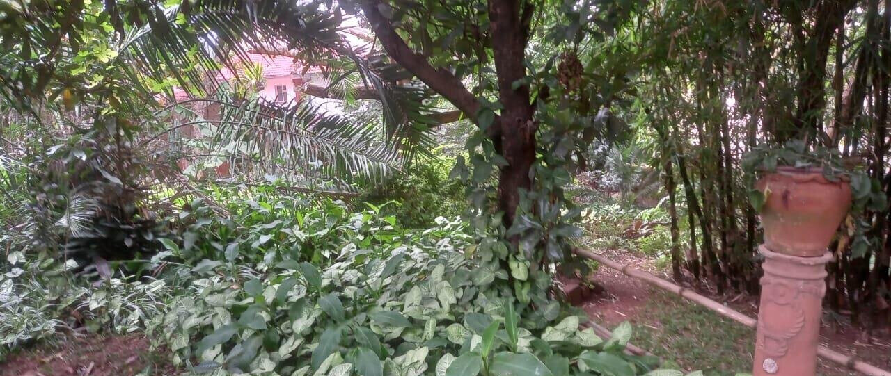 Garden Oasis on 0.65 Acre Plot