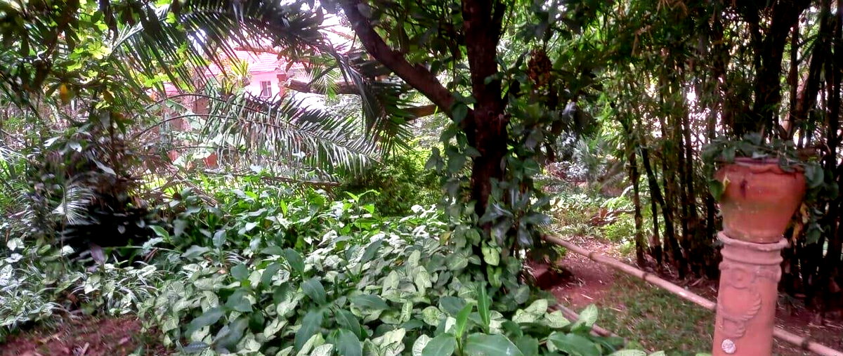 Garden Oasis on 0.65 Acre Plot
