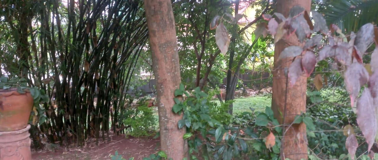 Garden Oasis on 0.65 Acre Plot