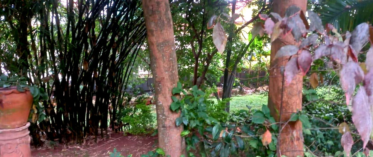 Garden Oasis on 0.65 Acre Plot