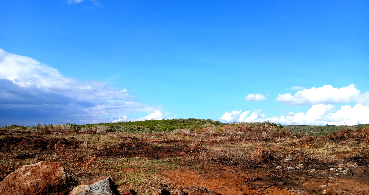 500.5 Acre Land in Ndumberi