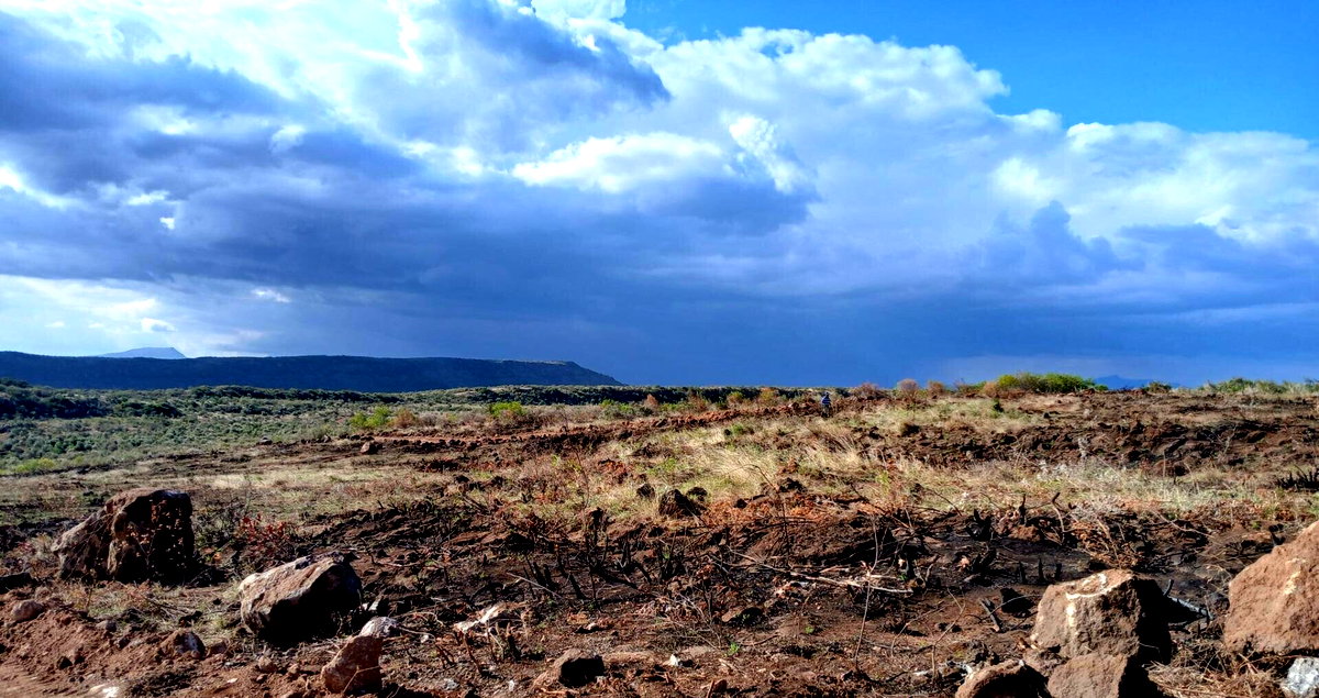 500.5 Acre Land in Ndumberi