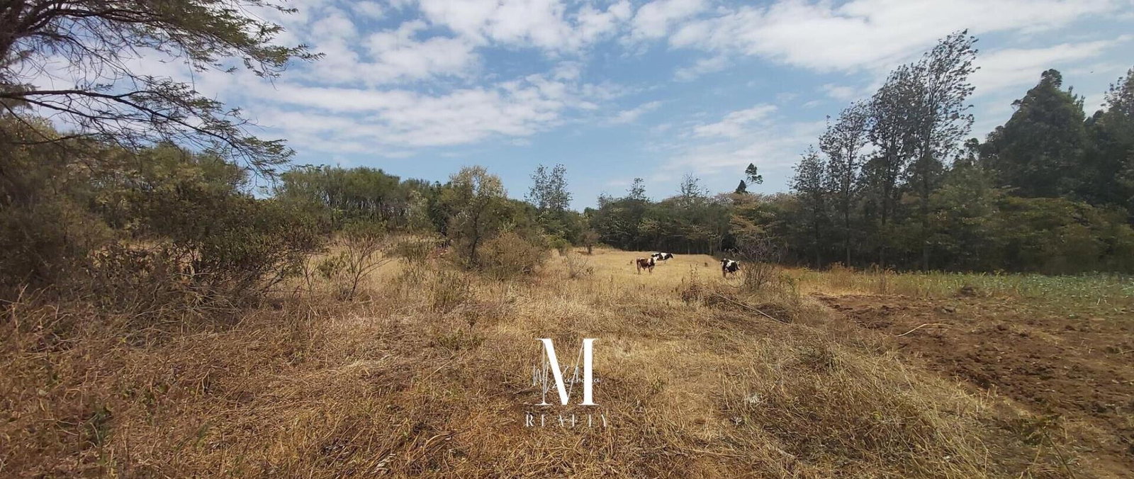 3.5-Acre Plot with Mt Kenya Views - KSh 17M