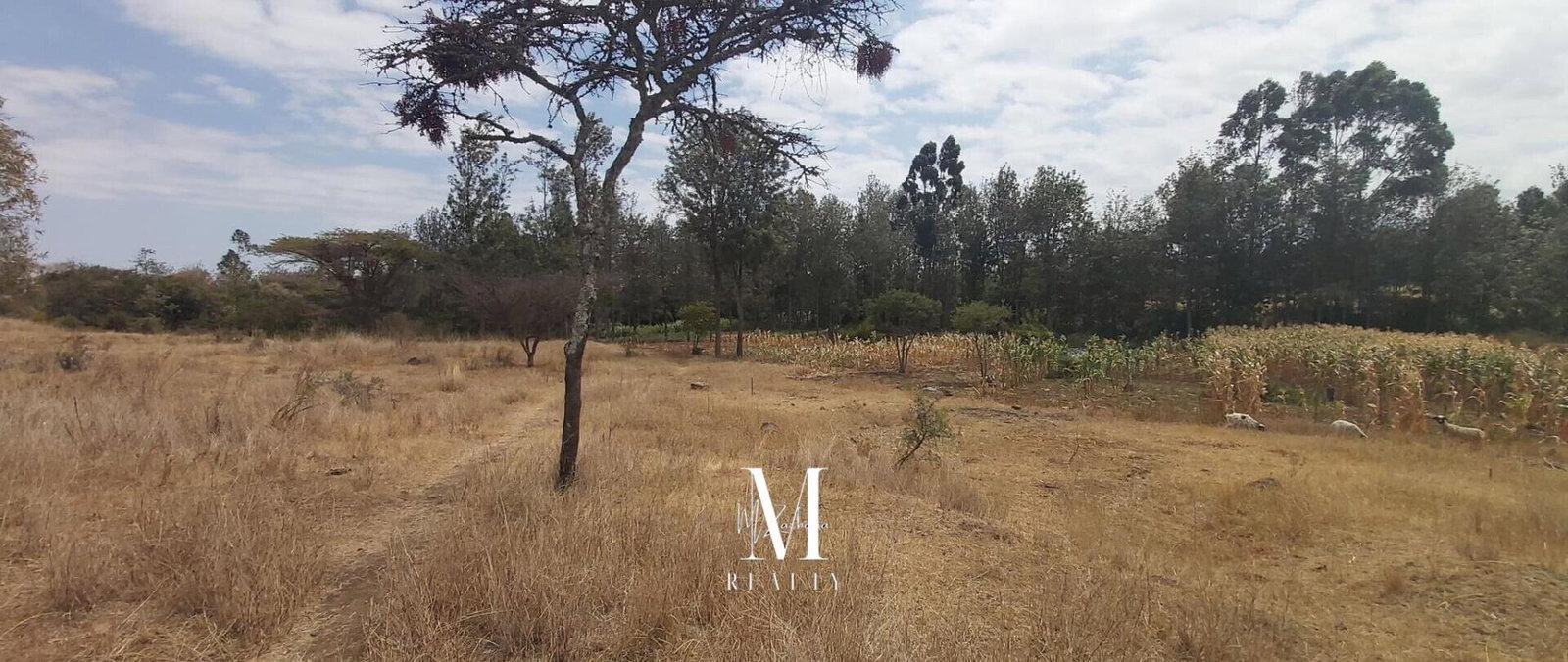 3.5-Acre Plot with Mt Kenya Views - KSh 17M