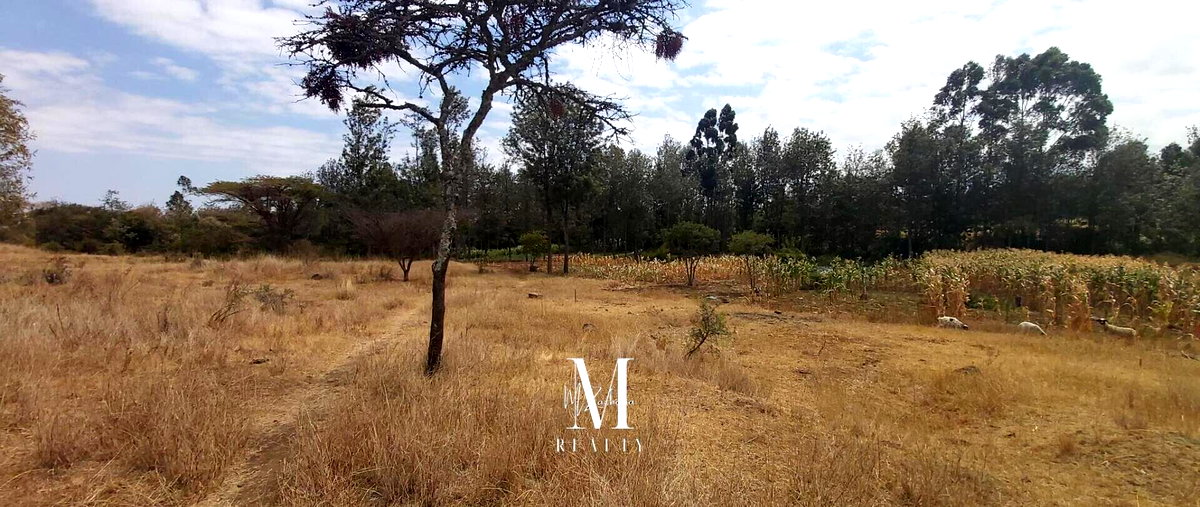 3.5-Acre Plot with Mt Kenya Views - KSh 17M