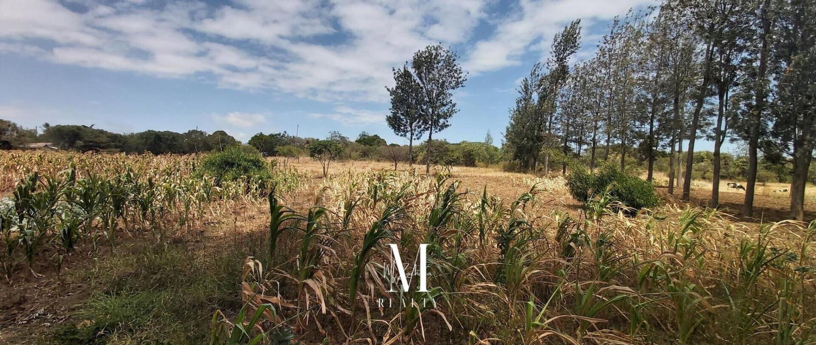 3.5-Acre Plot with Mt Kenya Views - KSh 17M