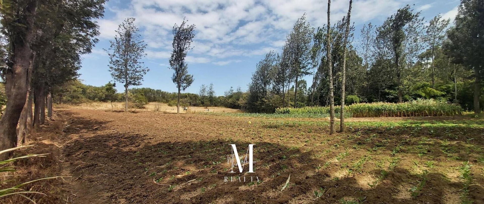 3.5-Acre Plot with Mt Kenya Views - KSh 17M